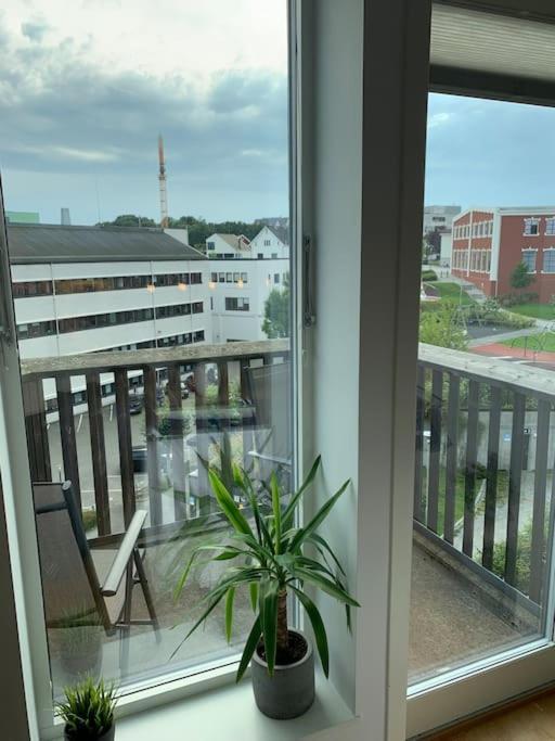 Entire For Rent In East Apartment