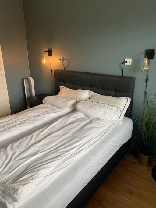 Entire For Rent In East *