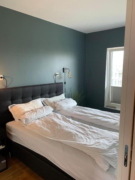 Entire For Rent In East * Stavanger